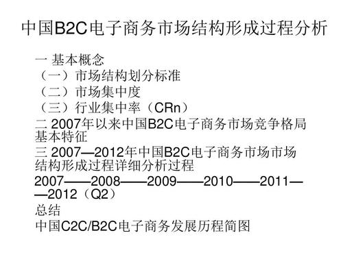 中国b2c电子商务市场结构形成过程分析解读ppt